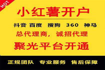 热门SEM运营公司案例深度剖析